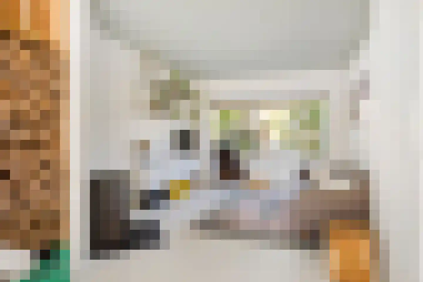 Rembrandtkade 59 Rijswijk thumbnail 4