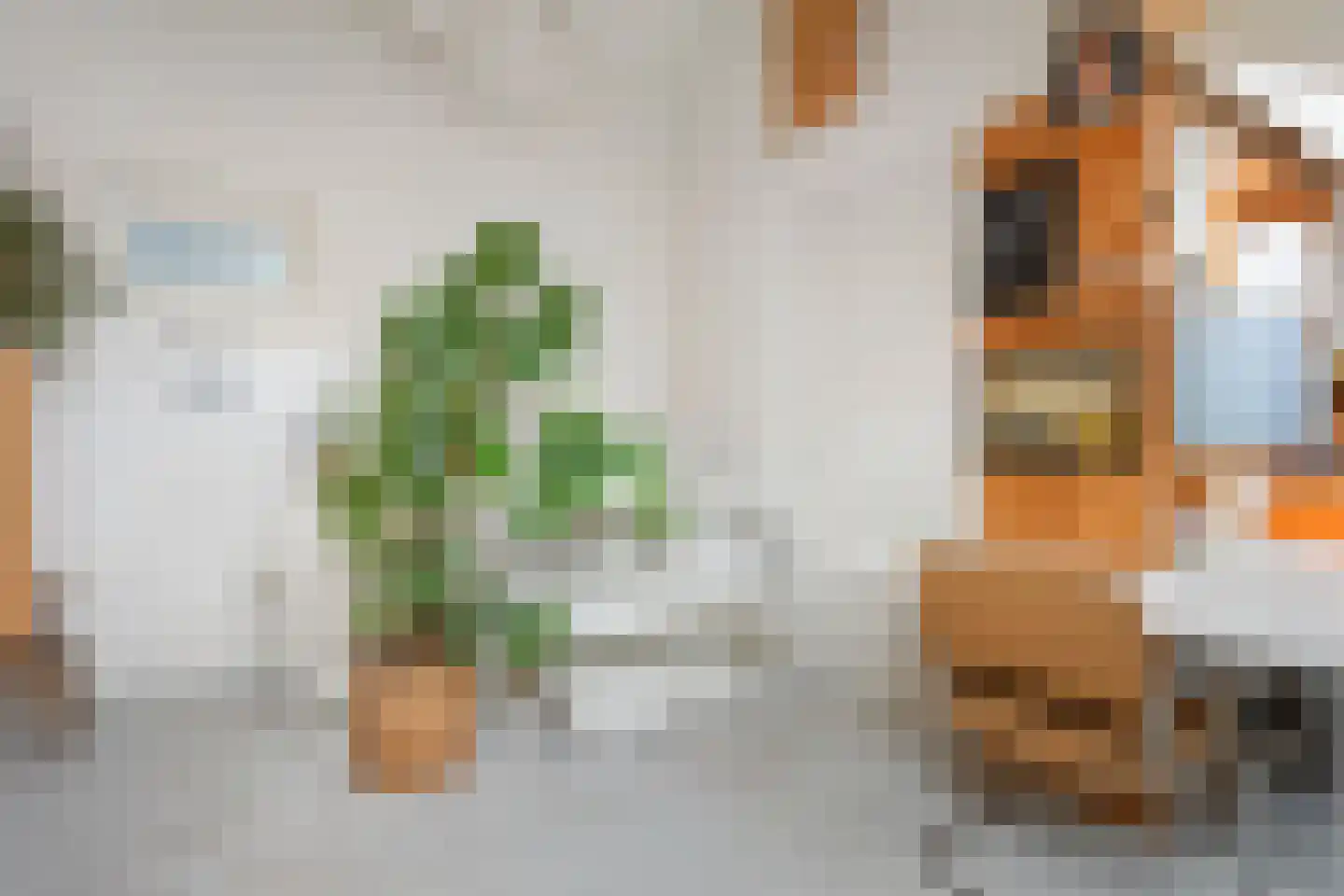 Rembrandtkade 59 Rijswijk thumbnail 45
