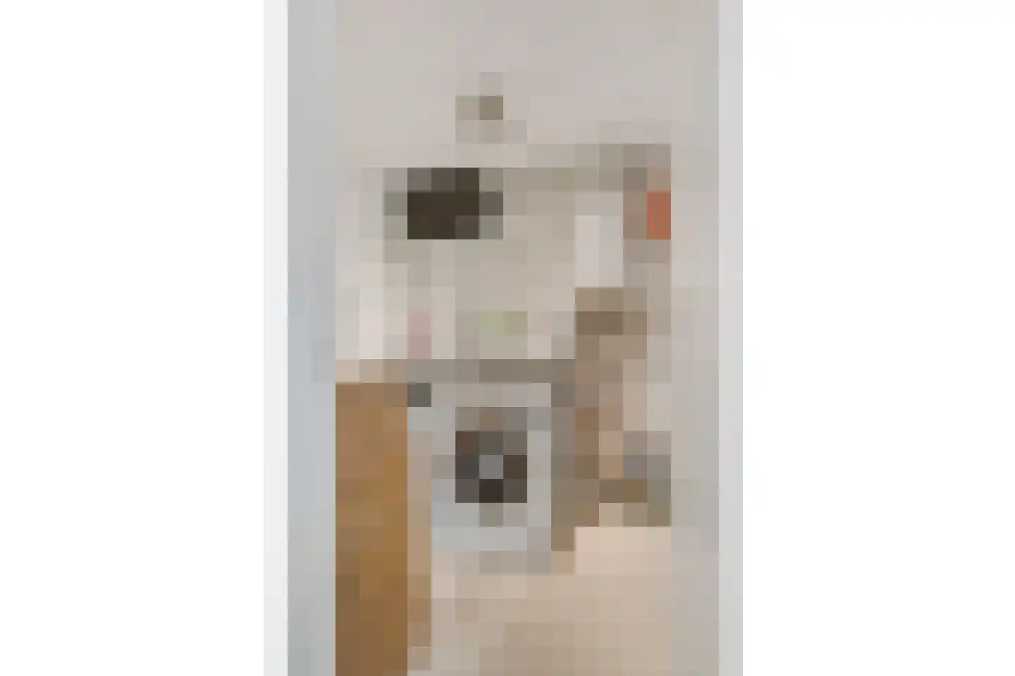 Rembrandtkade 59 Rijswijk thumbnail 46