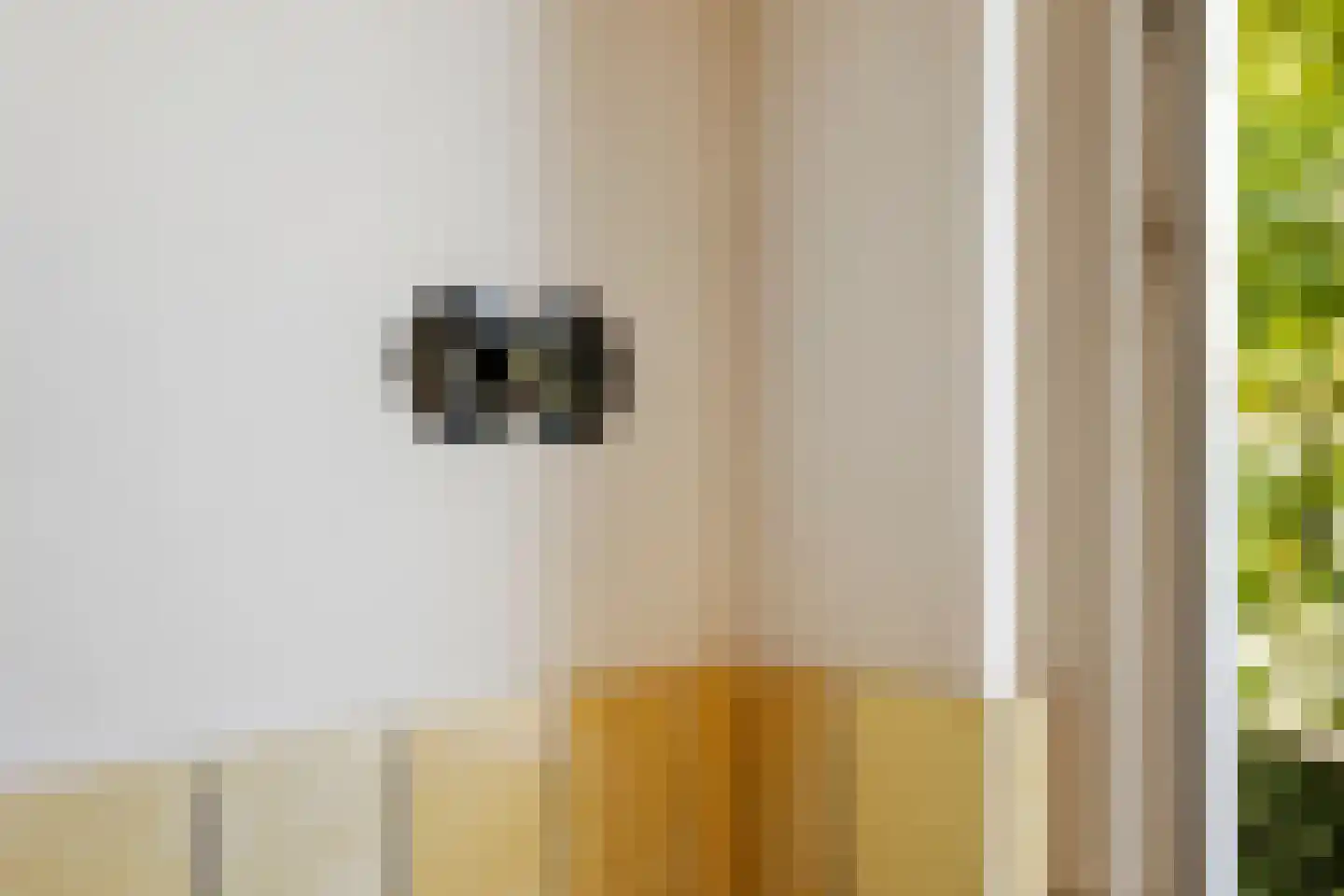 Rembrandtkade 59 Rijswijk thumbnail 47