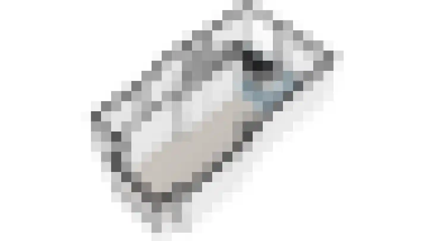 Rembrandtkade 59 Rijswijk thumbnail 66