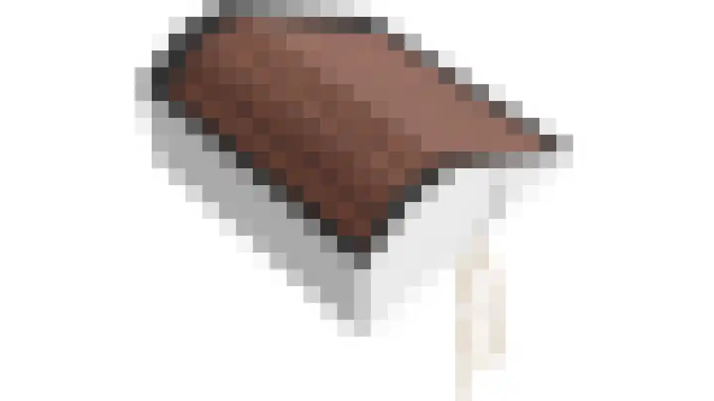 Rembrandtkade 59 Rijswijk thumbnail 69