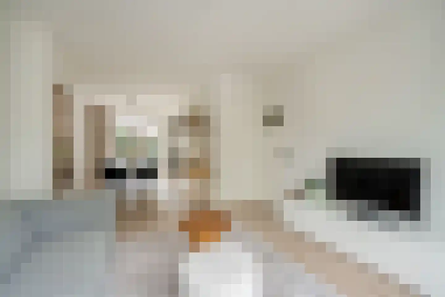 Rembrandtkade 74 Rijswijk thumbnail 10