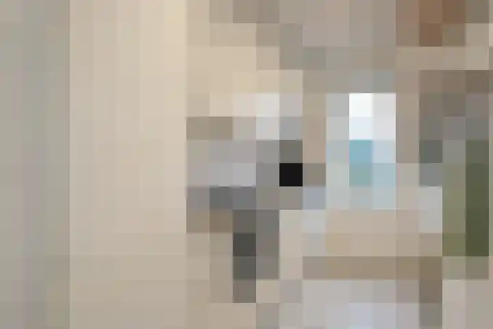 Rembrandtkade 82 Rijswijk thumbnail 11