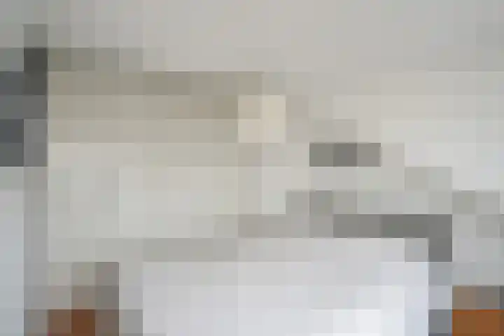 Rembrandtkade 82 Rijswijk thumbnail 19