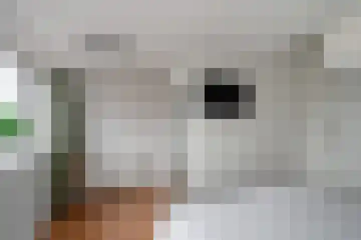 Rembrandtkade 82 Rijswijk thumbnail 20