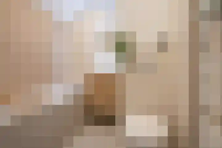 Rembrandtkade 82 Rijswijk thumbnail 21