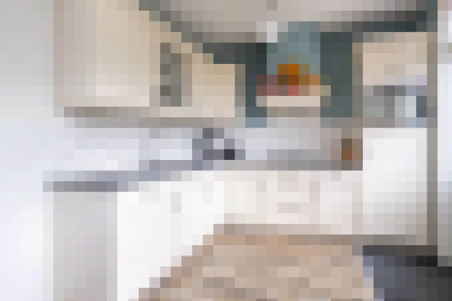 Rembrandtlaan 1 Middelharnis thumbnail 11