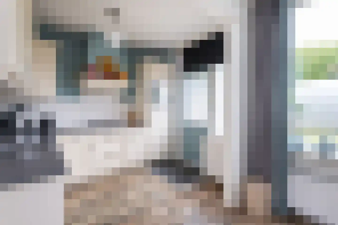 Rembrandtlaan 1 Middelharnis thumbnail 12