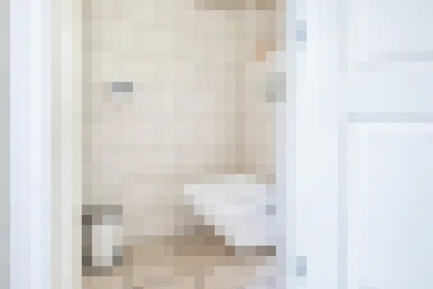 Rembrandtlaan 1 Middelharnis thumbnail 14