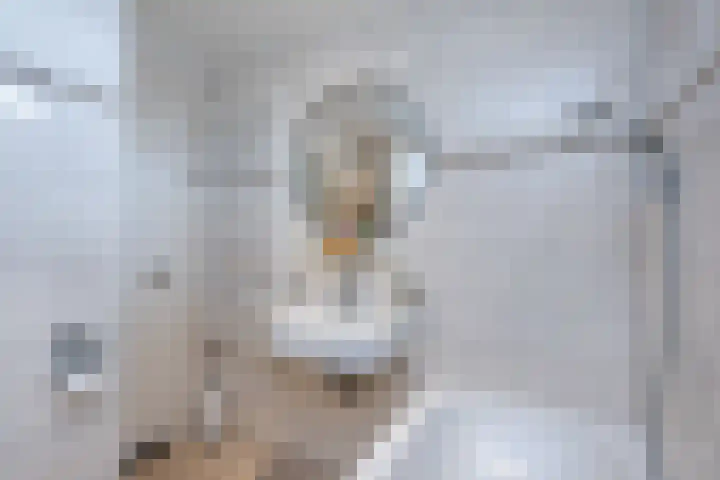 Rembrandtlaan 1 Middelharnis thumbnail 19
