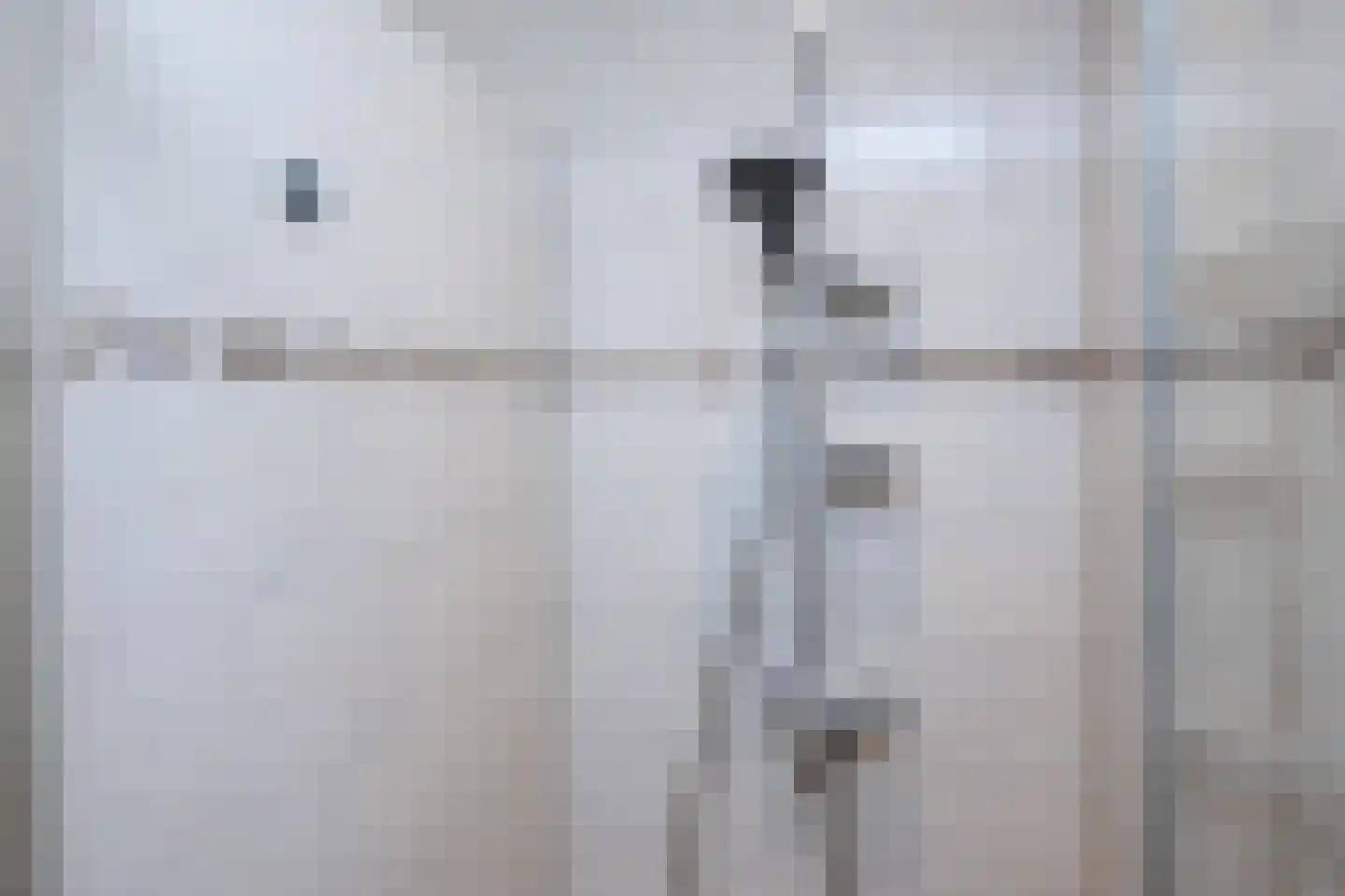 Rembrandtlaan 1 Middelharnis thumbnail 21