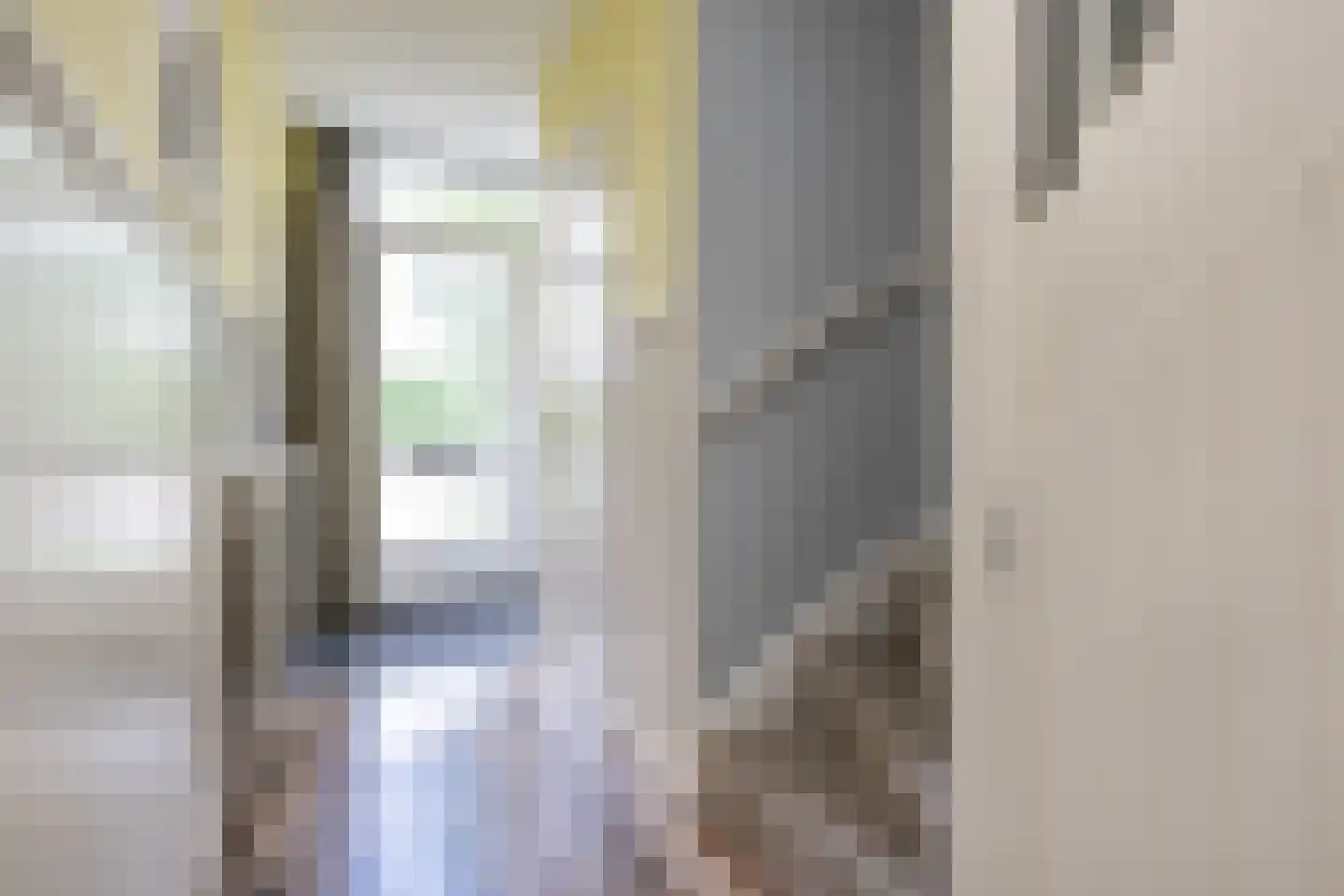 Rembrandtlaan 1 Middelharnis thumbnail 4