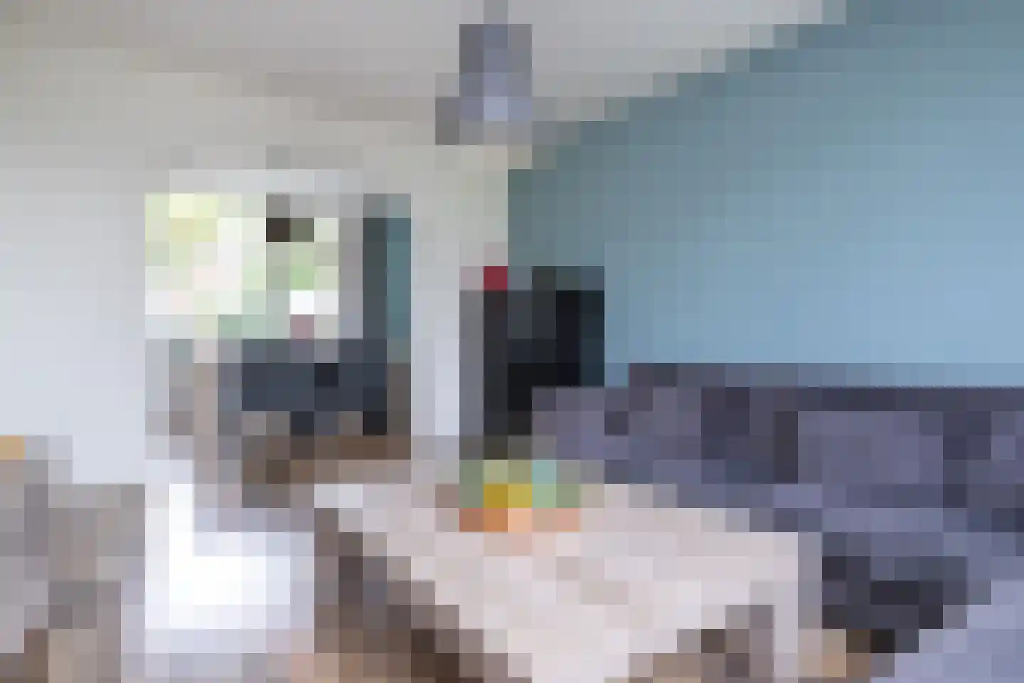 Rembrandtlaan 1 Middelharnis thumbnail 6