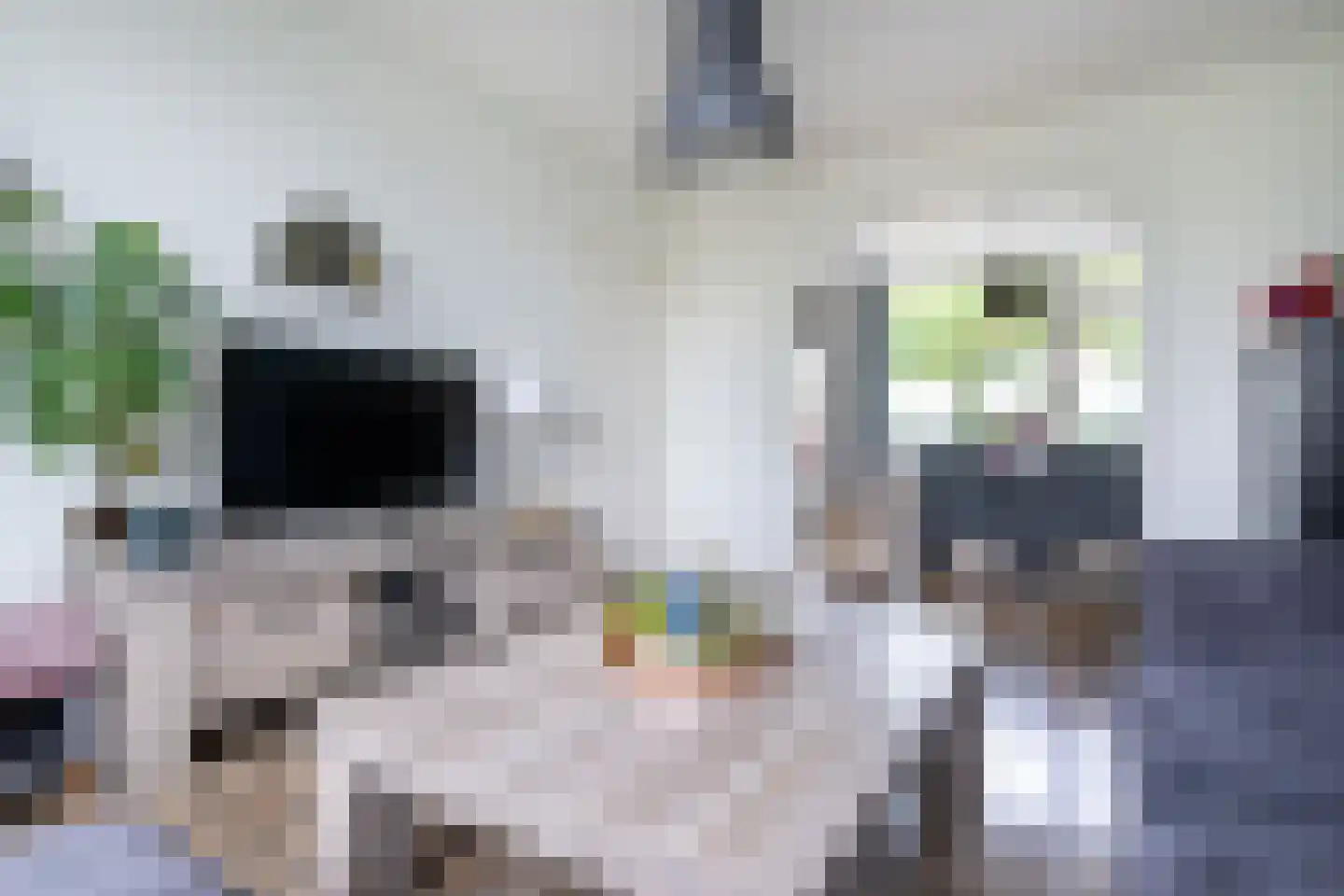 Rembrandtlaan 1 Middelharnis thumbnail 7
