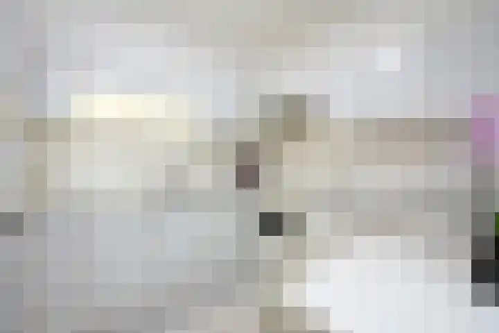 Rembrandtlaan 10 Geleen thumbnail 10