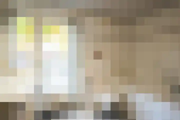 Rembrandtlaan 10 Geleen thumbnail 16