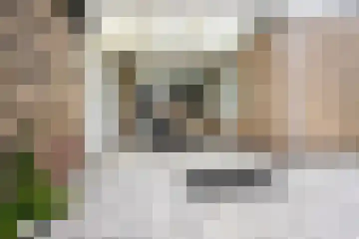 Rembrandtlaan 10 Geleen thumbnail 22