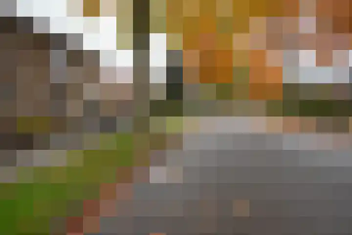 Rembrandtlaan 10 Geleen thumbnail 25
