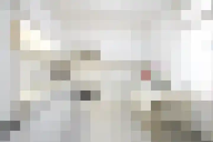 Rembrandtlaan 10 Geleen thumbnail 9