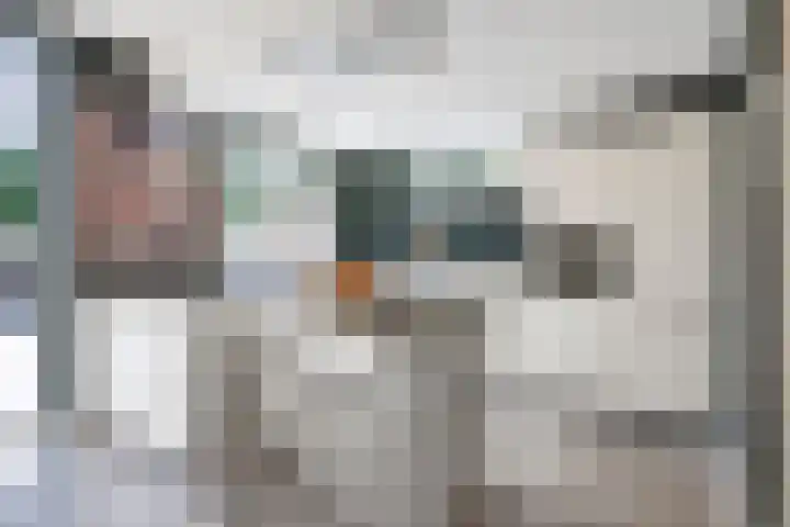 Rembrandtlaan 10 Hilversum thumbnail 11