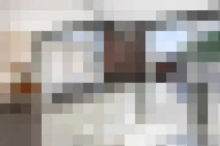 Rembrandtlaan 10 Hilversum thumbnail 12