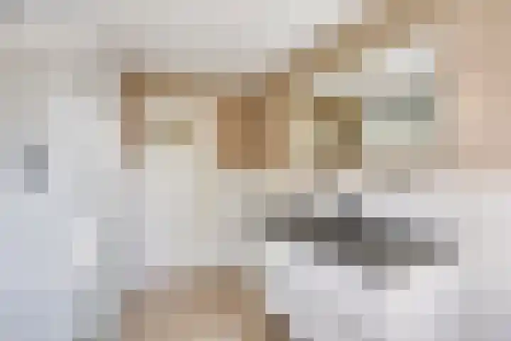 Rembrandtlaan 10 Hilversum thumbnail 20