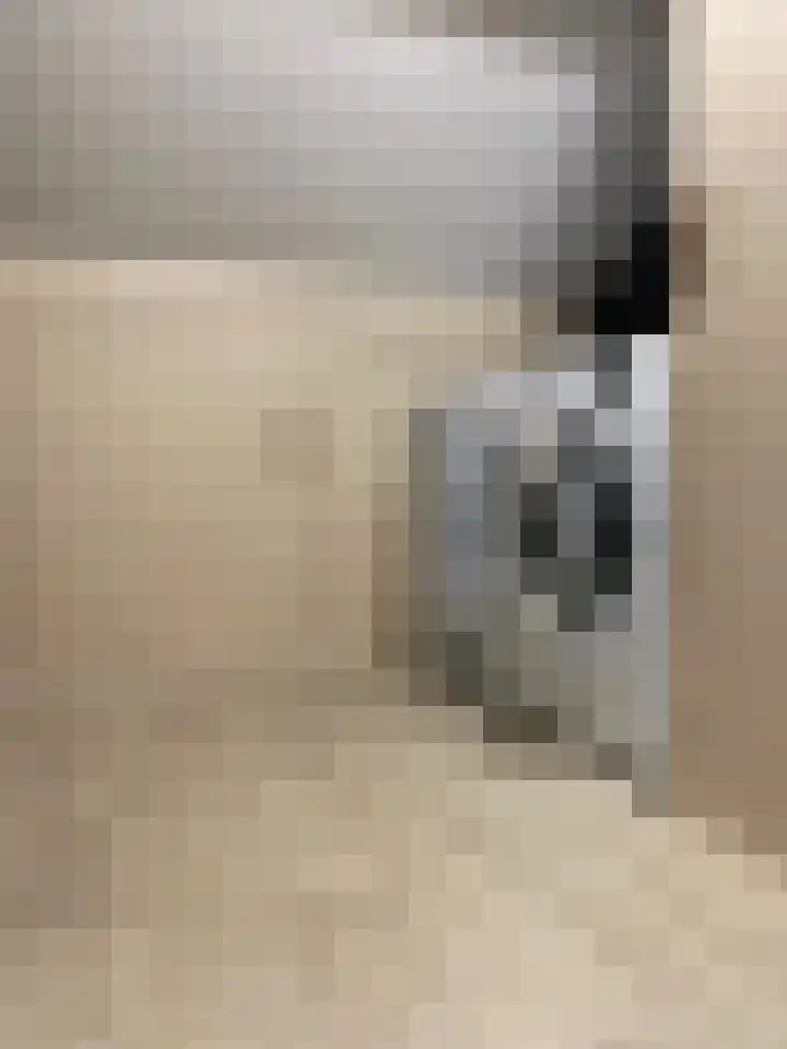 Rembrandtlaan 10 Hilversum thumbnail 23