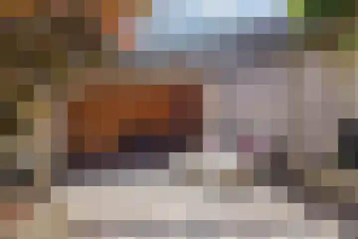 Rembrandtlaan 10 Hilversum thumbnail 25
