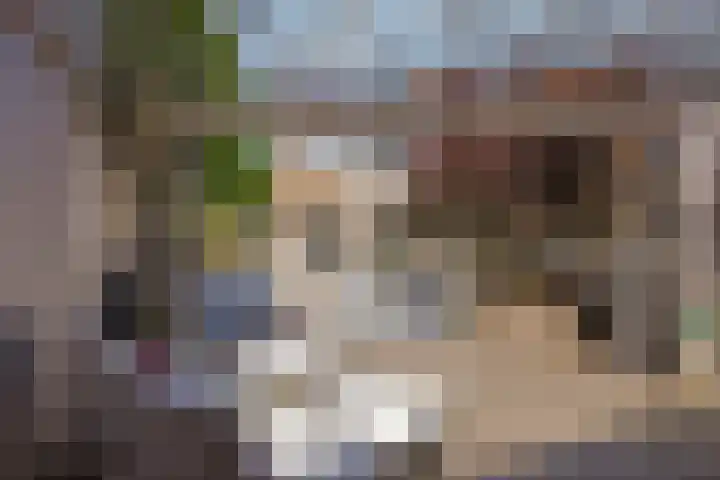 Rembrandtlaan 10 Hilversum thumbnail 26