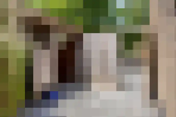 Rembrandtlaan 10 Hilversum thumbnail 28