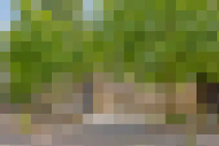 Rembrandtlaan 10 Hilversum thumbnail 30