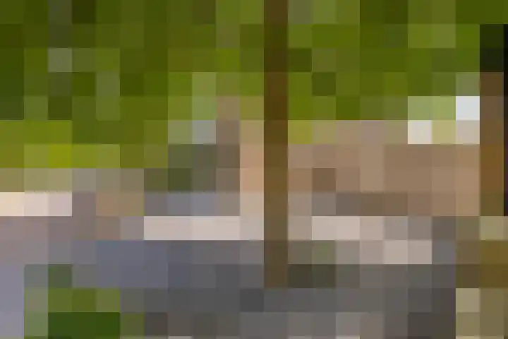 Rembrandtlaan 10 Hilversum thumbnail 31