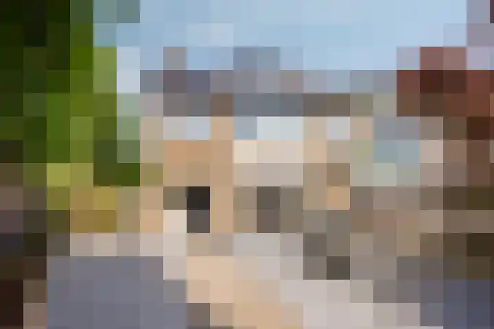Rembrandtlaan 10 Hilversum thumbnail 4