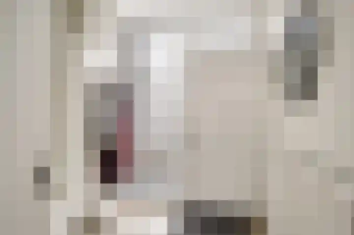 Rembrandtlaan 10 Voorschoten thumbnail 10