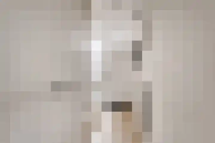 Rembrandtlaan 10 Voorschoten thumbnail 11
