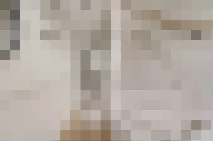Rembrandtlaan 10 Voorschoten thumbnail 12