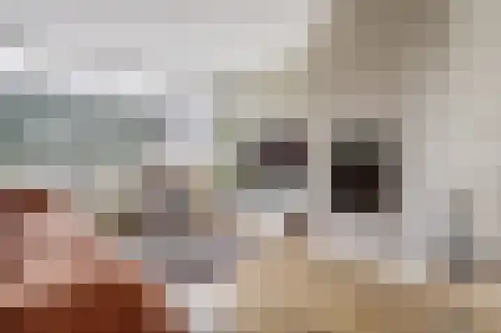 Rembrandtlaan 10 Voorschoten thumbnail 14
