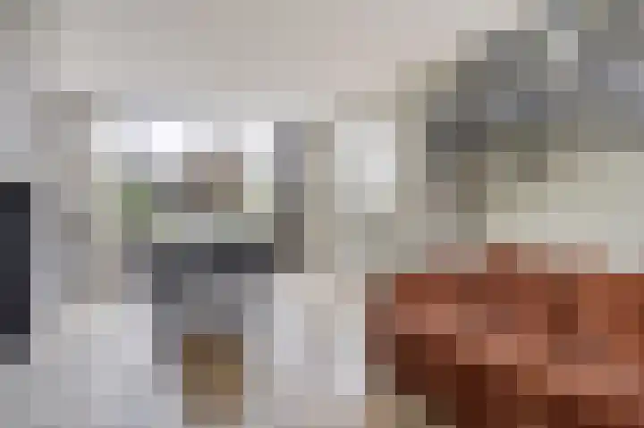 Rembrandtlaan 10 Voorschoten thumbnail 17