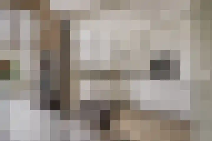 Rembrandtlaan 10 Voorschoten thumbnail 19