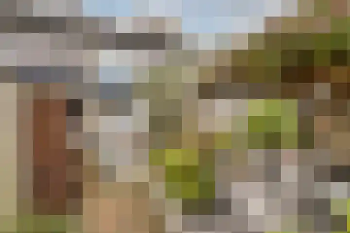 Rembrandtlaan 10 Voorschoten thumbnail 23