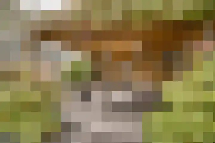Rembrandtlaan 10 Voorschoten thumbnail 24