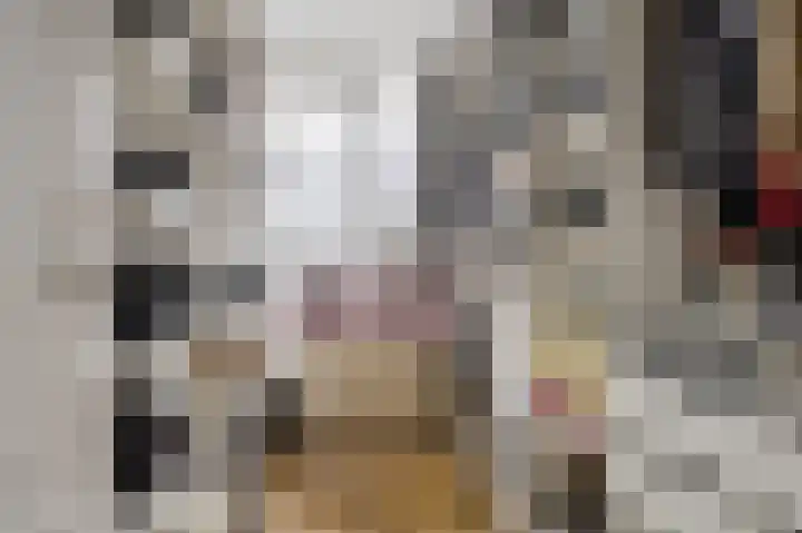 Rembrandtlaan 10 Voorschoten thumbnail 27