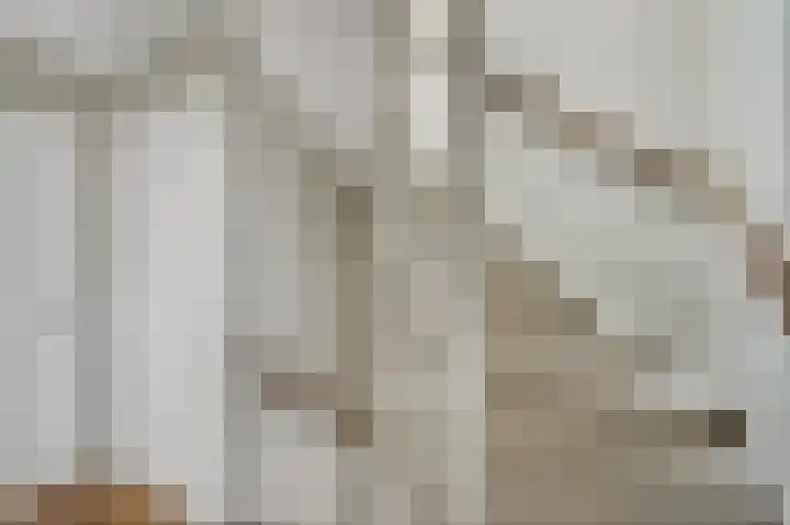 Rembrandtlaan 10 Voorschoten thumbnail 28