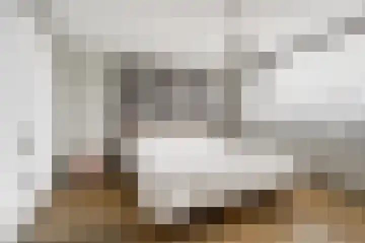 Rembrandtlaan 10 Voorschoten thumbnail 29