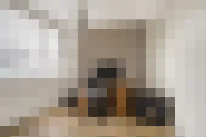 Rembrandtlaan 10 Voorschoten thumbnail 31