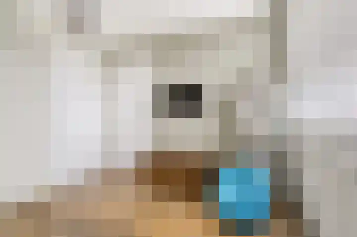 Rembrandtlaan 10 Voorschoten thumbnail 32