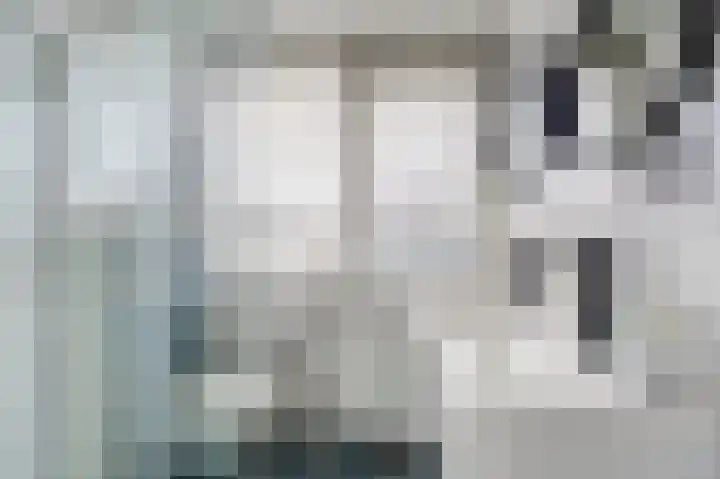 Rembrandtlaan 10 Voorschoten thumbnail 33