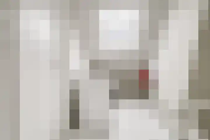 Rembrandtlaan 10 Voorschoten thumbnail 36
