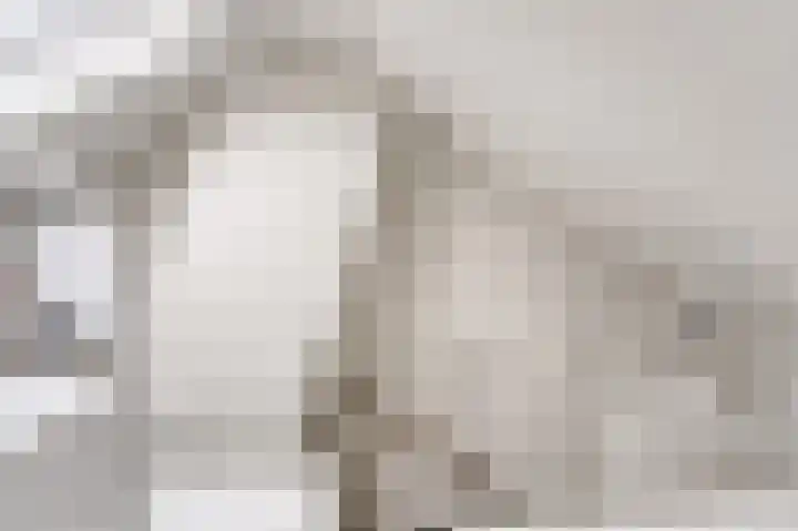 Rembrandtlaan 10 Voorschoten thumbnail 37